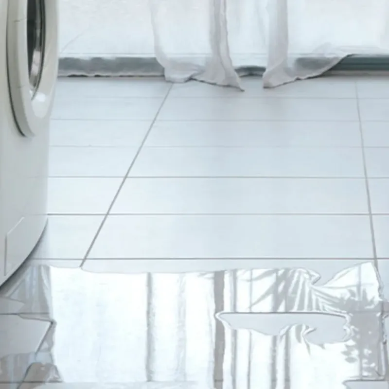 Appliance Leak Cleanup in Marshall, AR