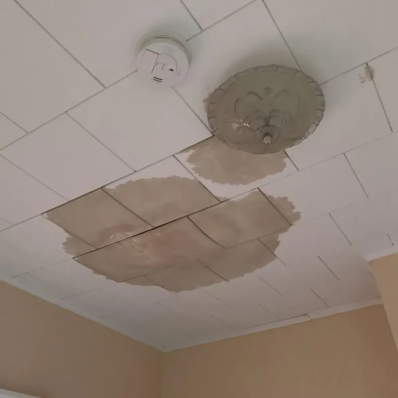 Ceiling Water Damage Repair in Marshall, AR
