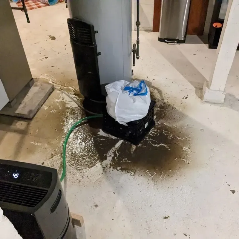 Sewage Backup Cleanup Service in Marshall, AR